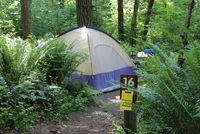 Tent at L.L. Stub Stewart State Park
