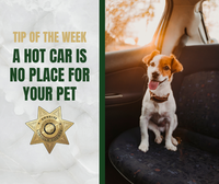 Tip_of_the_Week_Images_-_A_Hot_Car_is_No_Place_for_Your_Pet.png