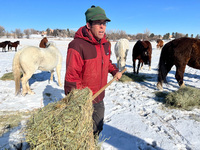 For Land Manager Tyson Phillips, day-to-day responsibilities include a comprehensive schedule consisting of guest lecturing and ranching, with FVS's flourishing English and Western riding programs playing a large part in the latter. 