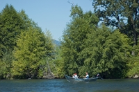 Rogue River with boaters