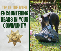 Tip_of_the_Week_-_Encountering_Bears_in_Your_Community.png