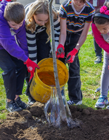Children watering a tree in Vancouver, Washington