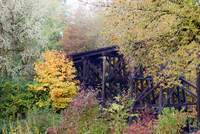 Chelatchie Prairie Railroad bridge in Gordy Jolma Family Natural Area.