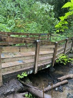 Broken trail bridge in Lacamas Regional Park