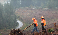 Weston Tilton and Emily Caretti of Weyerhaeuser's Springfield Tree Farm look over a parcel the company's own logging team harvested after a devastating January 2024 ice storm. The work reduced fire risk and enabled replanting, helping earn an Award of Merit from the Northwest Oregon Regional Forest Practices Committee. 