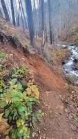 Photo_of_landslide_on_the_Larch_Mountain_Trail.jpg