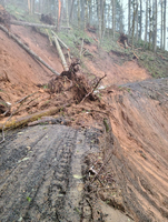 Landslide block Windy Peak Road. BLM photo.