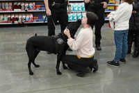 BGPD Comfort Dog Rafferty sharing loves