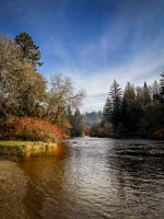 East Fork Lewis River at Lewisville Regional Park in October 2024.